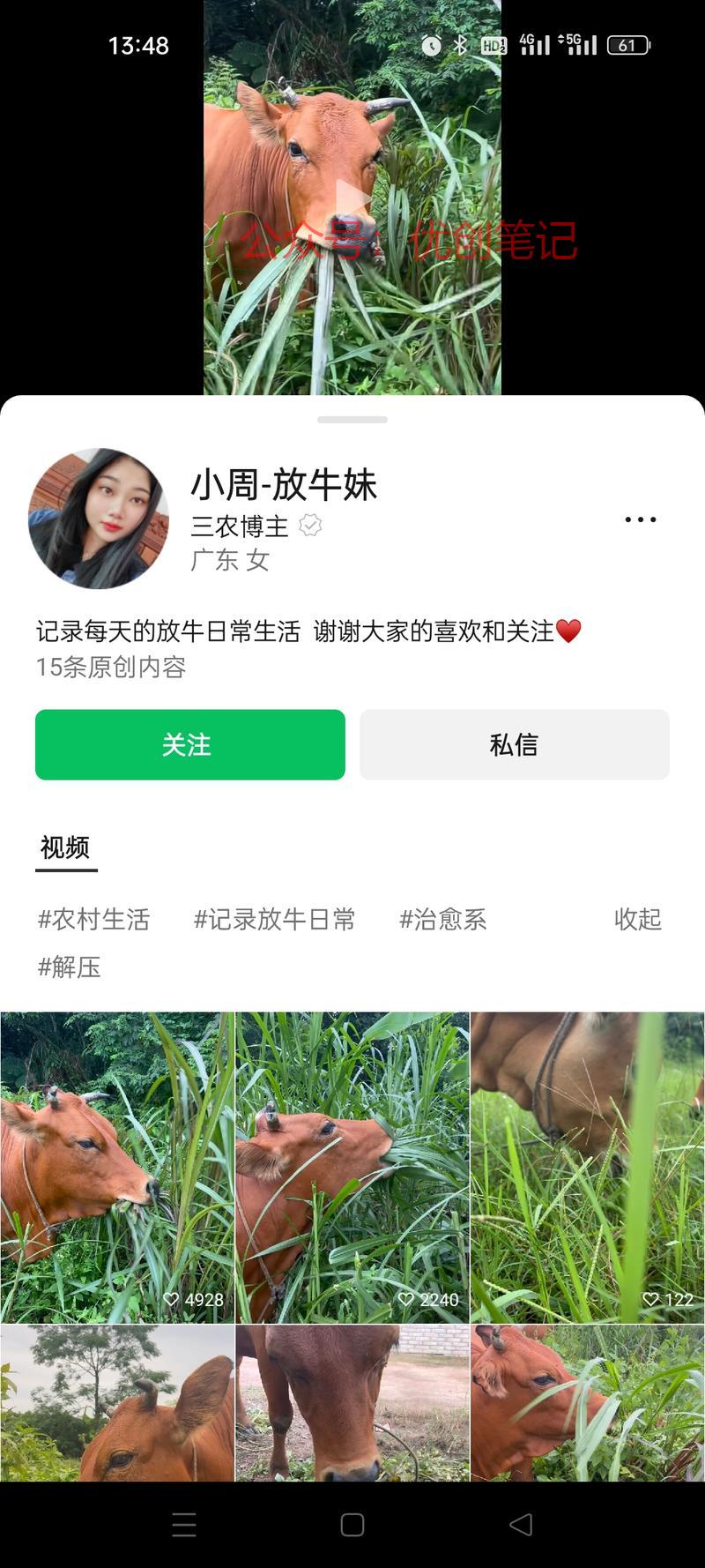 刷到一个只发牛吃草的视频…#情报-搞钱线报📢论坛-网创交流-优创圈